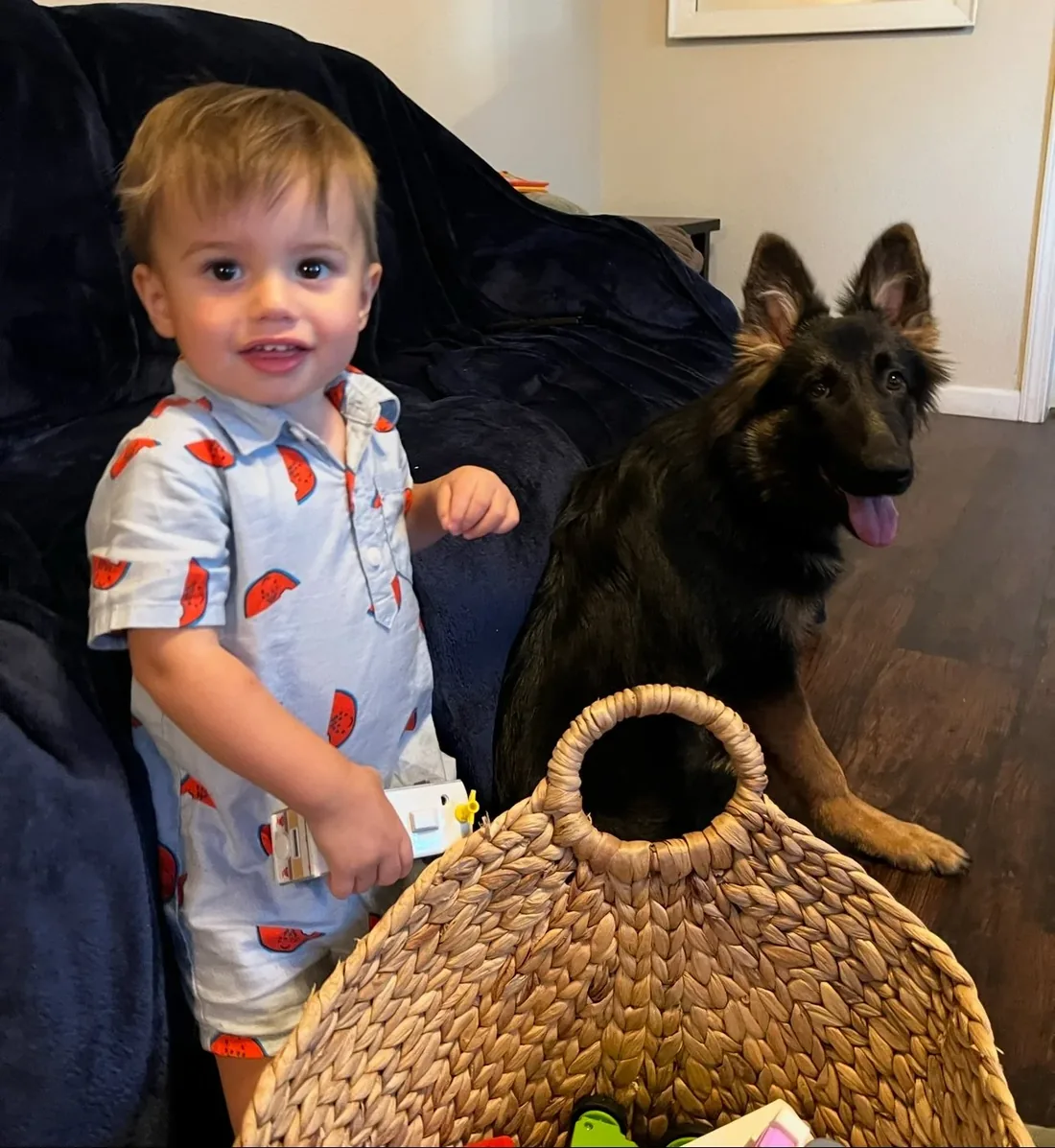 A toddler beside a calm long-coat German Shepherd at home