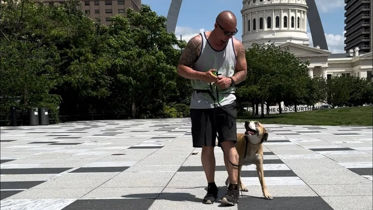 Aaron working Rey on a downtown plaza with the Arch behind