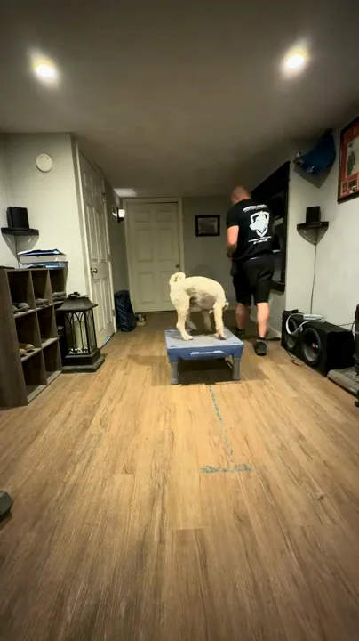 Aaron working Wrigley indoors on calm engagement