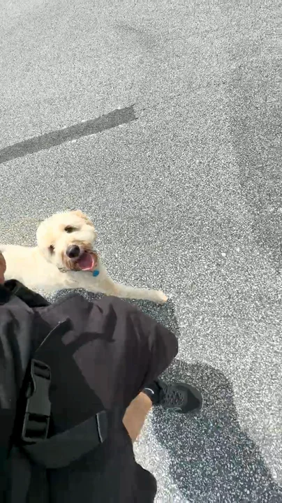 Aaron building a recall with Wrigley on a paved lot
