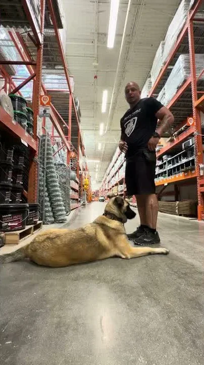 Carly holding a down-stay beside Aaron in a Home Depot aisle
