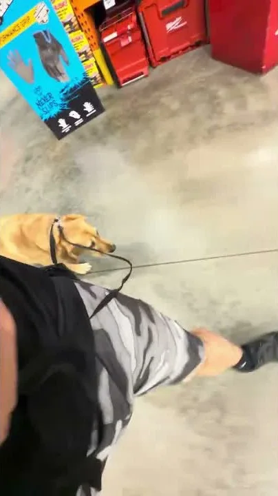 Aaron heeling Maddie through a Home Depot aisle