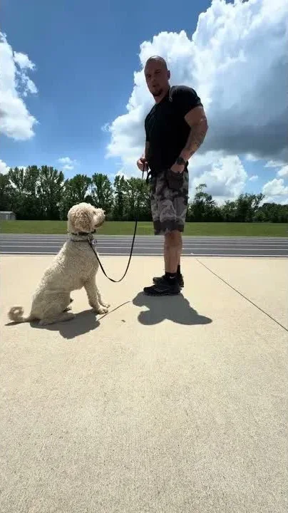 Aaron running a heel drill with Wrigley at the park