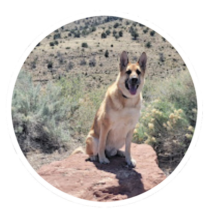 Maggie - Testimonial for Marmon Family Dog Training