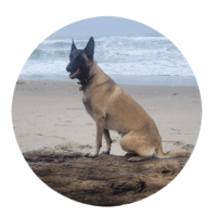 Testimonial for Marmon Family Dog Training